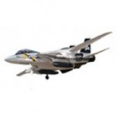 F-14 Tomcat Jolly Rogers 6CH Twin RC Straaljager RTF